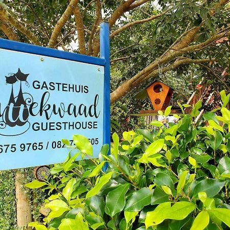 Kattekwaad Accommodation Kaapsehoop Bagian luar foto