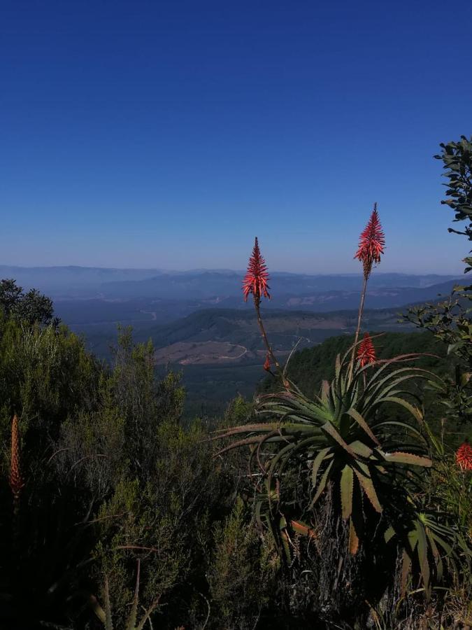 Kattekwaad Accommodation Kaapsehoop Bagian luar foto