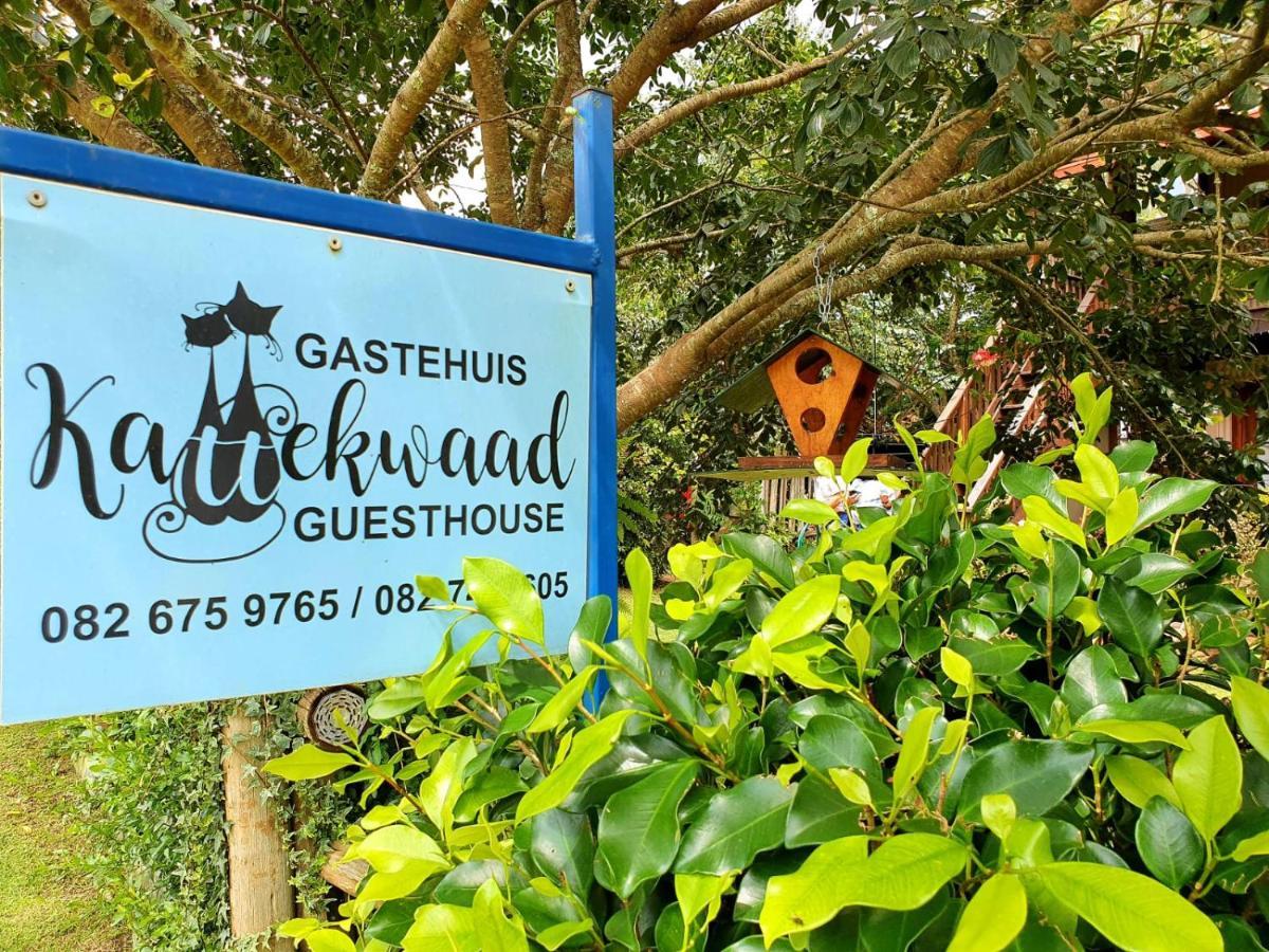 Kattekwaad Accommodation Kaapsehoop Bagian luar foto
