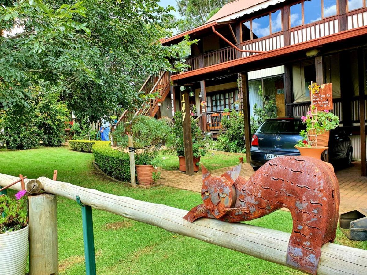 Kattekwaad Accommodation Kaapsehoop Bagian luar foto