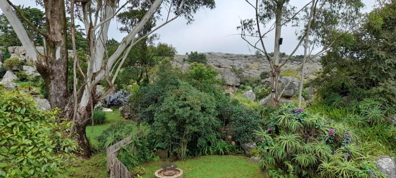 Kattekwaad Accommodation Kaapsehoop Bagian luar foto