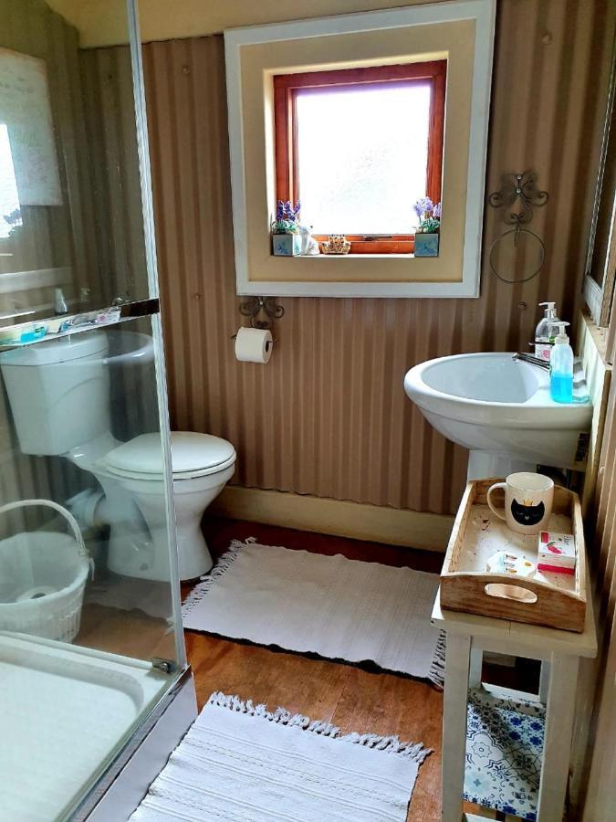 Kattekwaad Accommodation Kaapsehoop Bagian luar foto