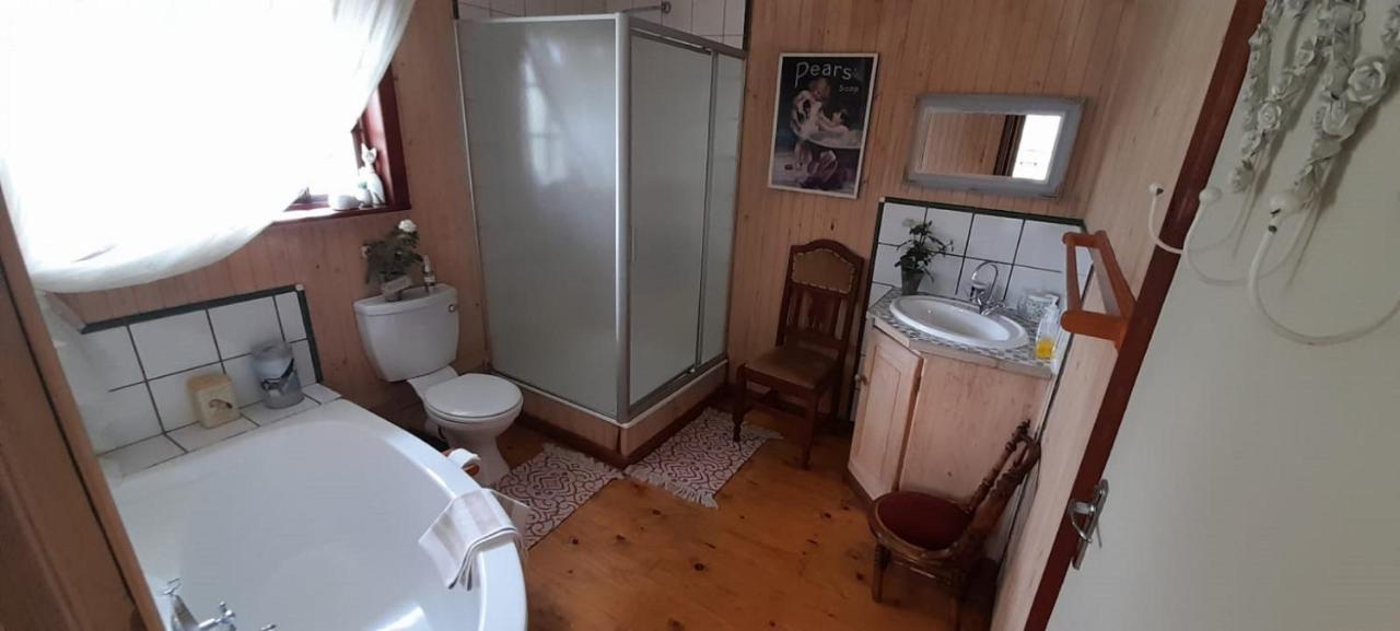 Kattekwaad Accommodation Kaapsehoop Bagian luar foto
