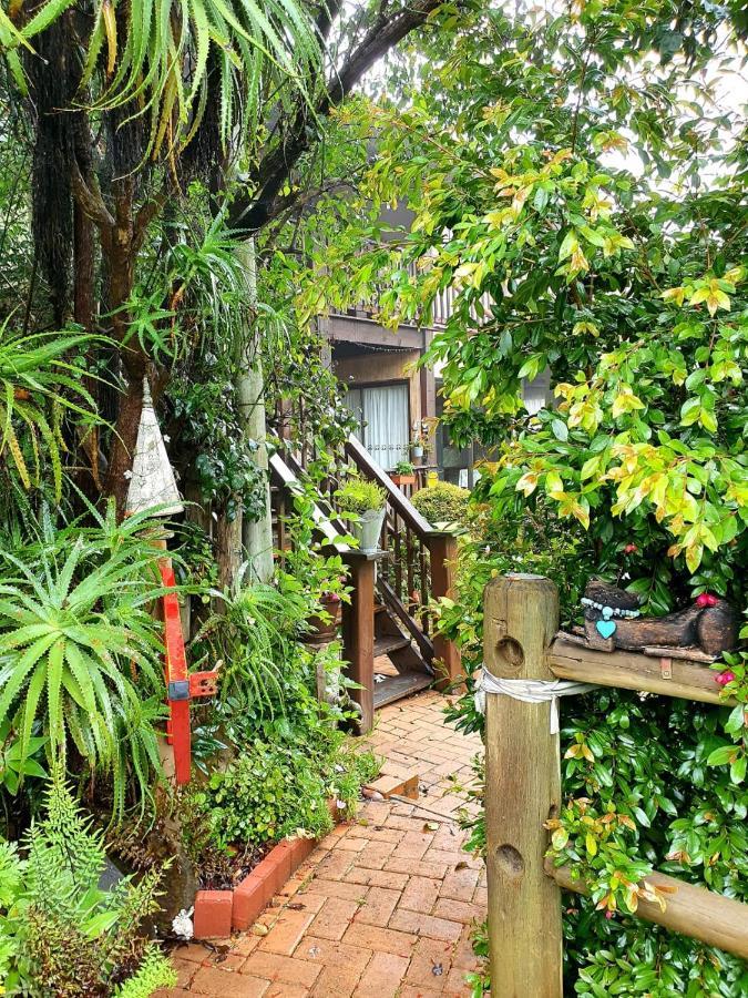Kattekwaad Accommodation Kaapsehoop Bagian luar foto
