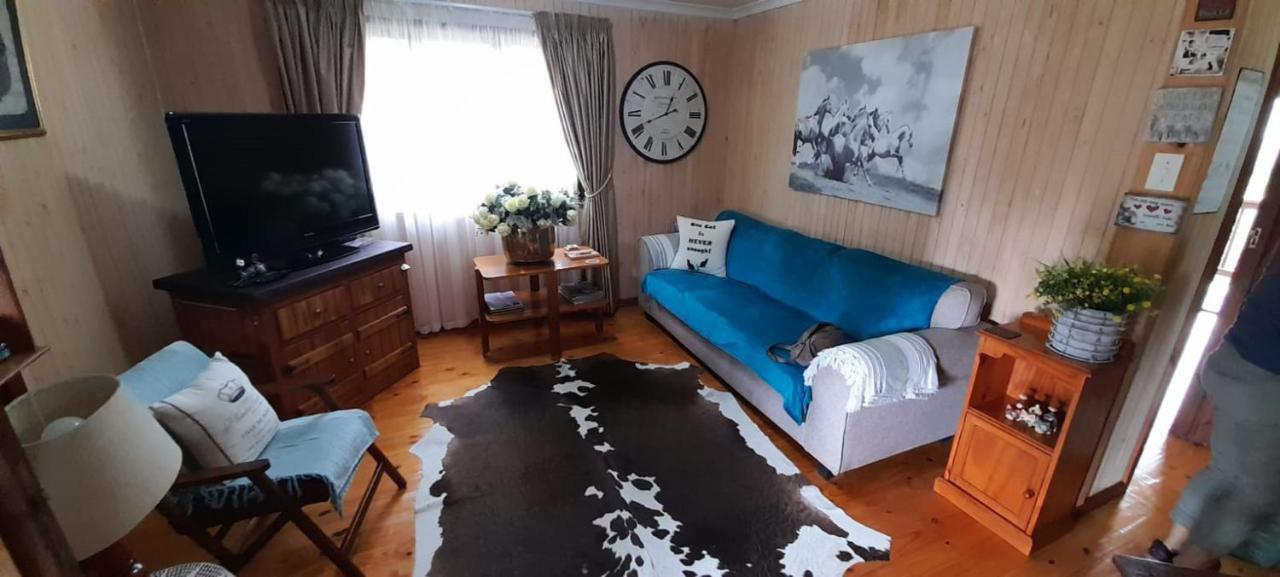 Kattekwaad Accommodation Kaapsehoop Bagian luar foto