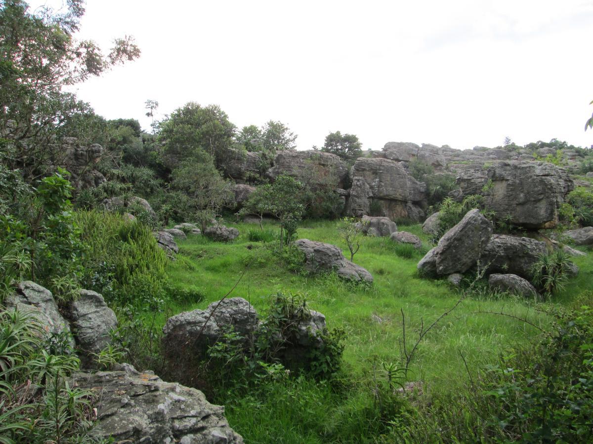 Kattekwaad Accommodation Kaapsehoop Bagian luar foto