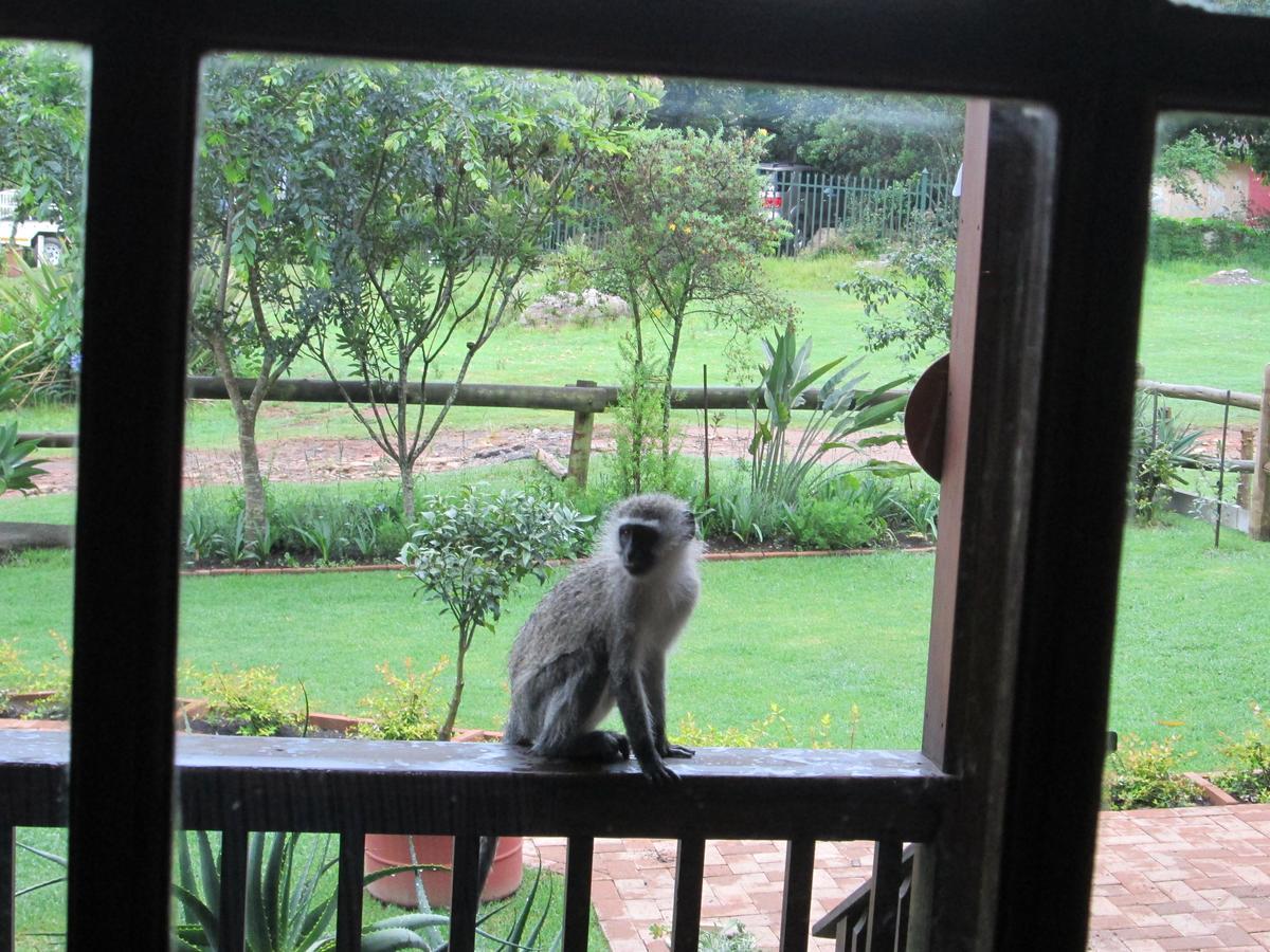 Kattekwaad Accommodation Kaapsehoop Bagian luar foto