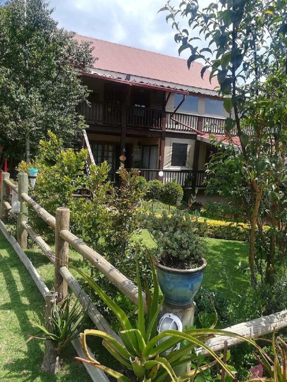 Kattekwaad Accommodation Kaapsehoop Bagian luar foto